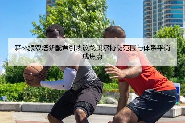 森林狼双塔新配置引热议戈贝尔协防范围与体系平衡成焦点